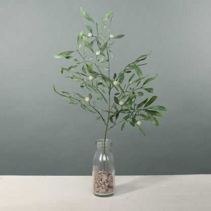 Exterior Mistletoe Stem