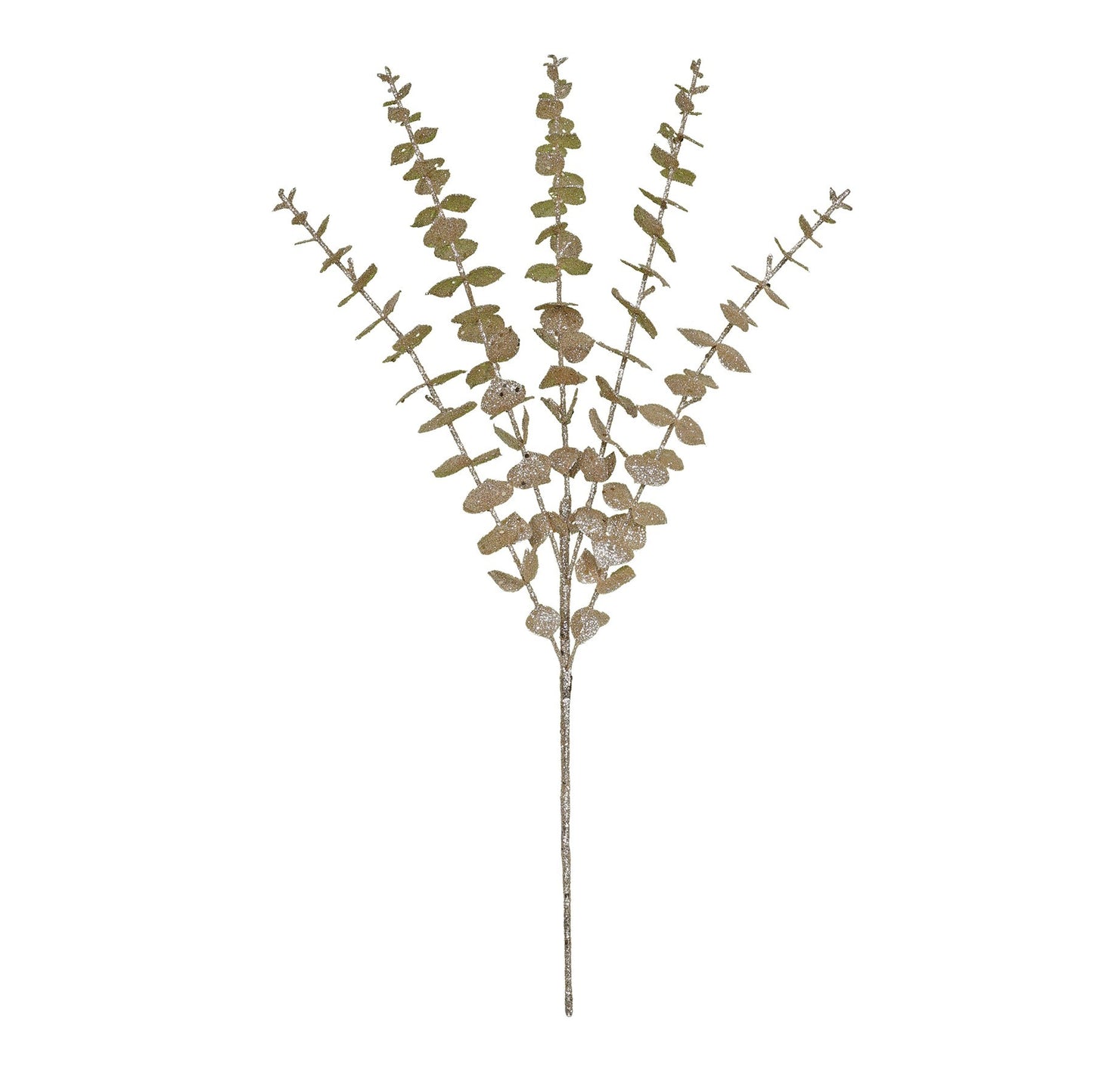 Champagne Glitter Eucalyptus Stem (x5 Leaves)