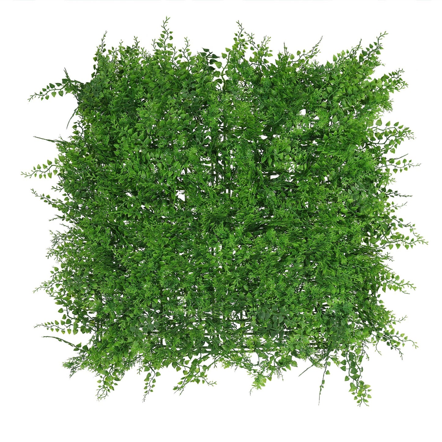 Exterior U.V Fern Leaf Green Wall Panel