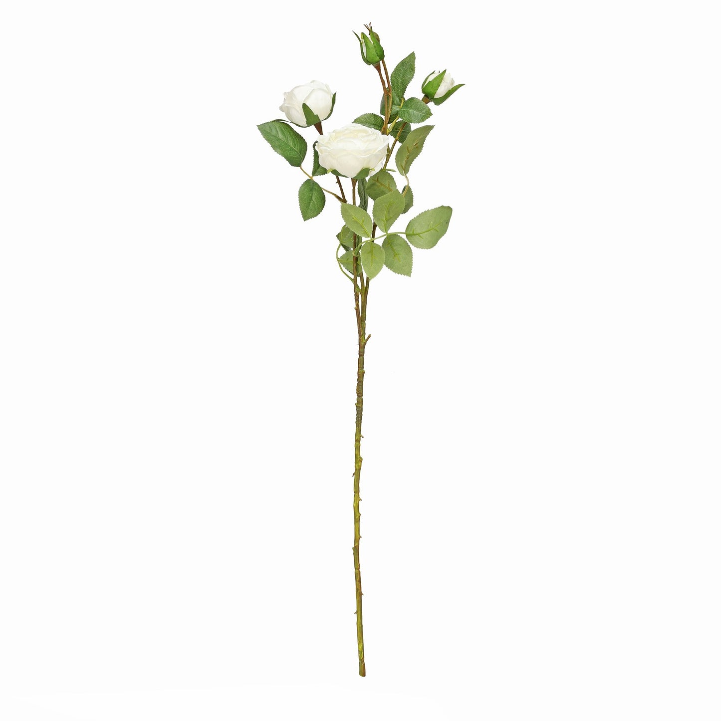 Garden Peony Rose Spray Ivory