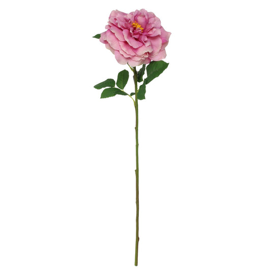 Balmoral Wild Rose Purple (65cm)