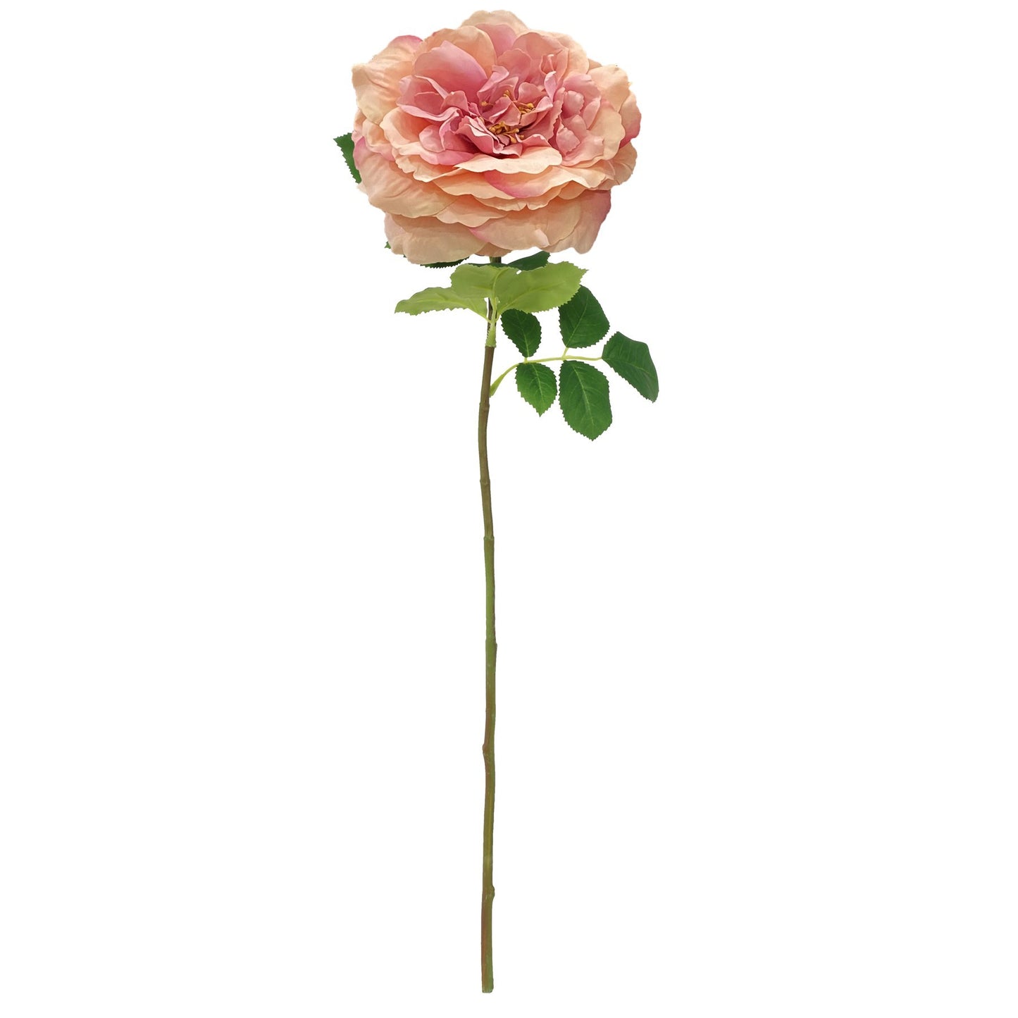 Balmoral Wild Pink Rose (65cm)