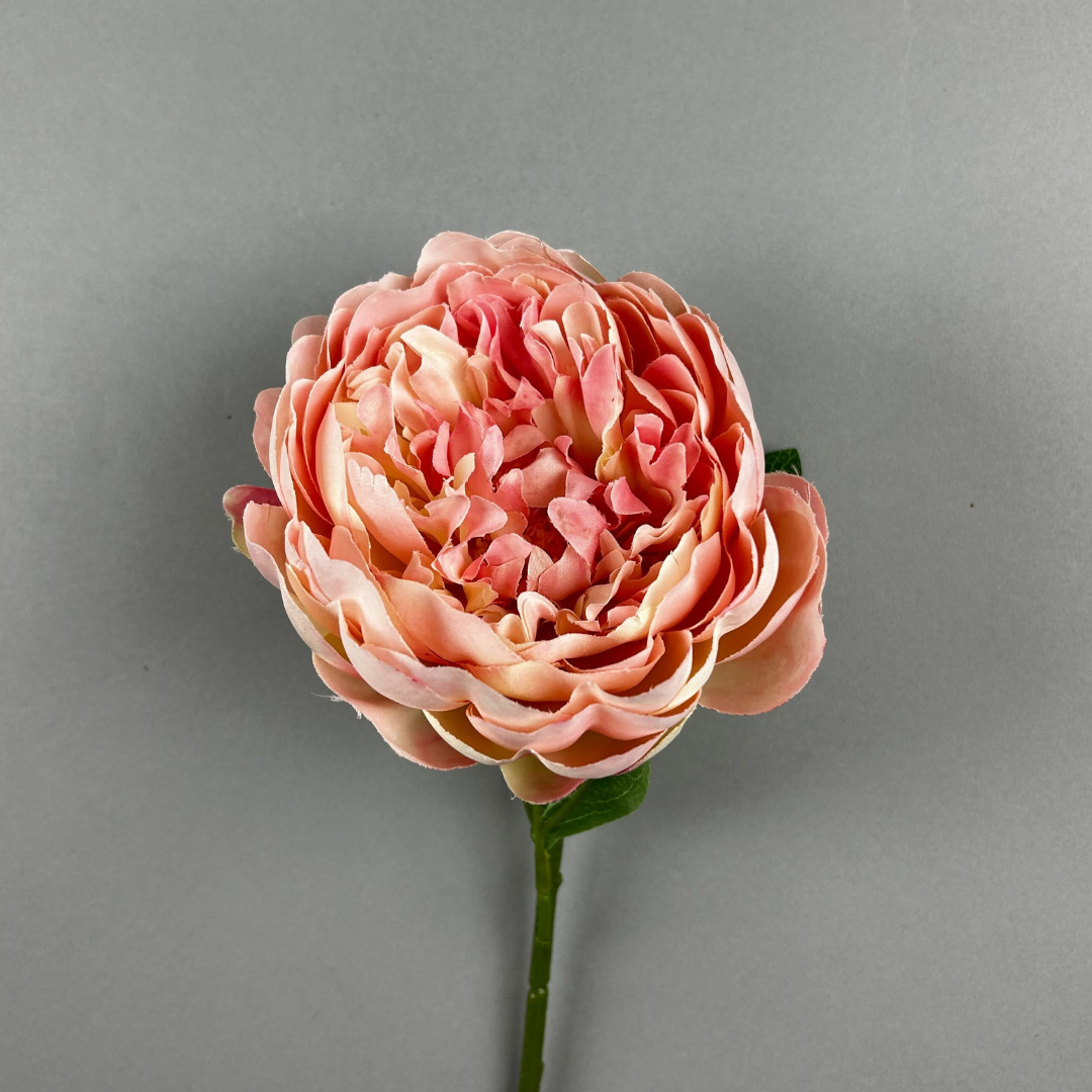 Pink Fantasia Peony (51cm)