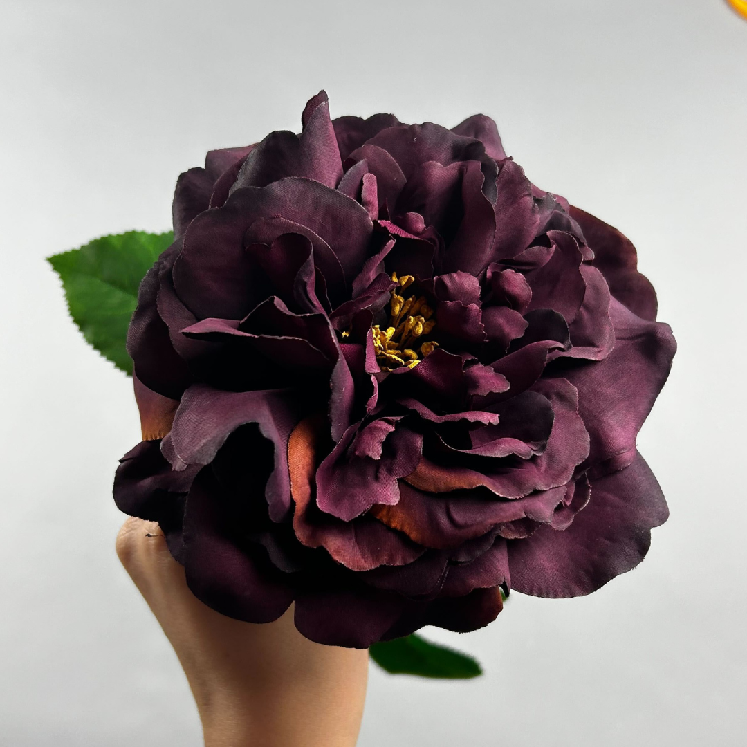 Balmoral Wild Rose Burgundy (65cm)