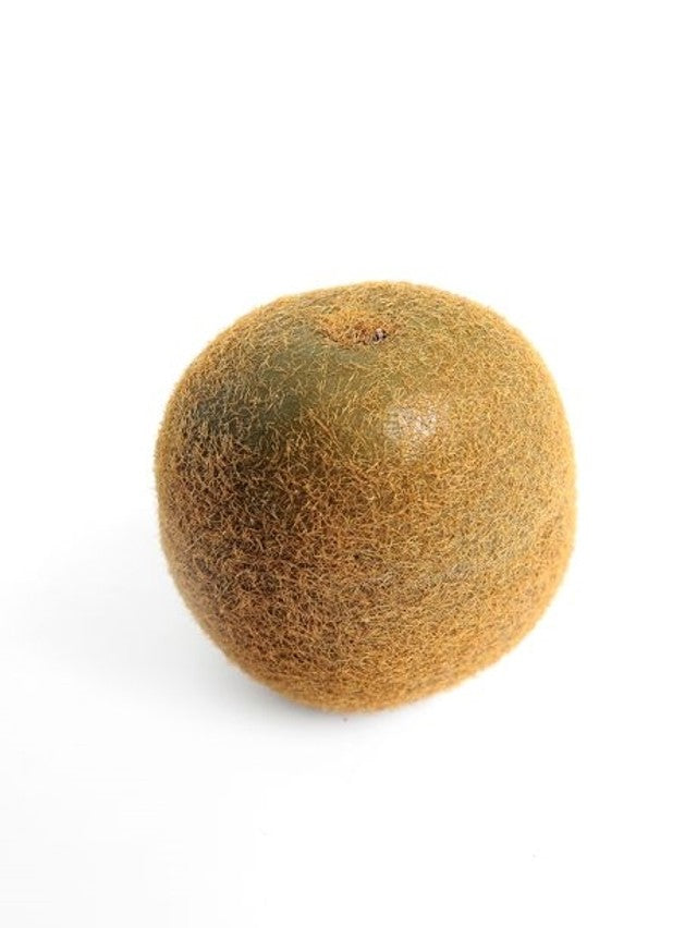 Artificial Kiwi