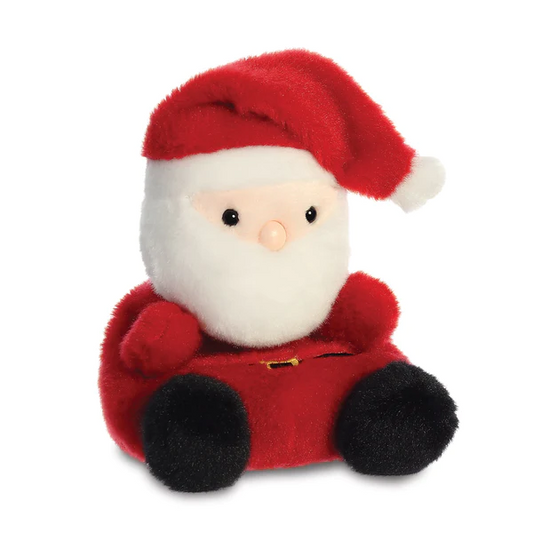 Santa Claus Plush (5 inch)