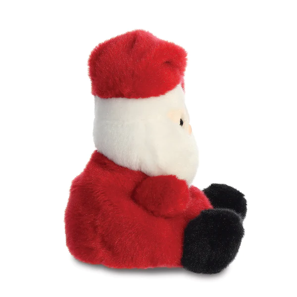 Santa Claus Plush (5 inch)