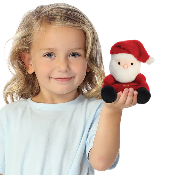 Santa Claus Plush (5 inch)