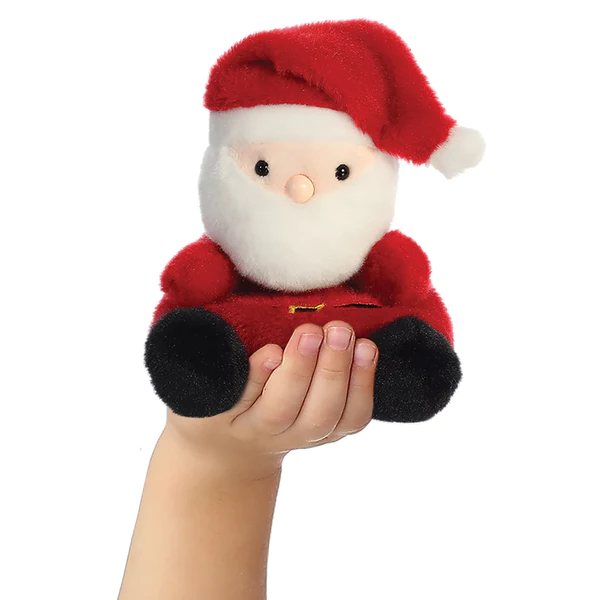 Santa Claus Plush (5 inch)