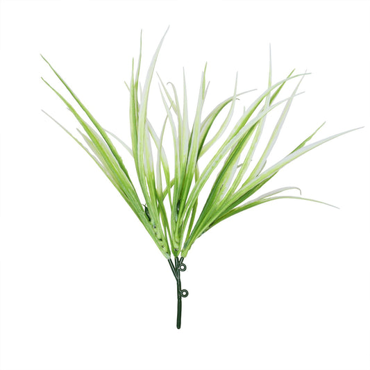 White Hardy Grass (30cm)