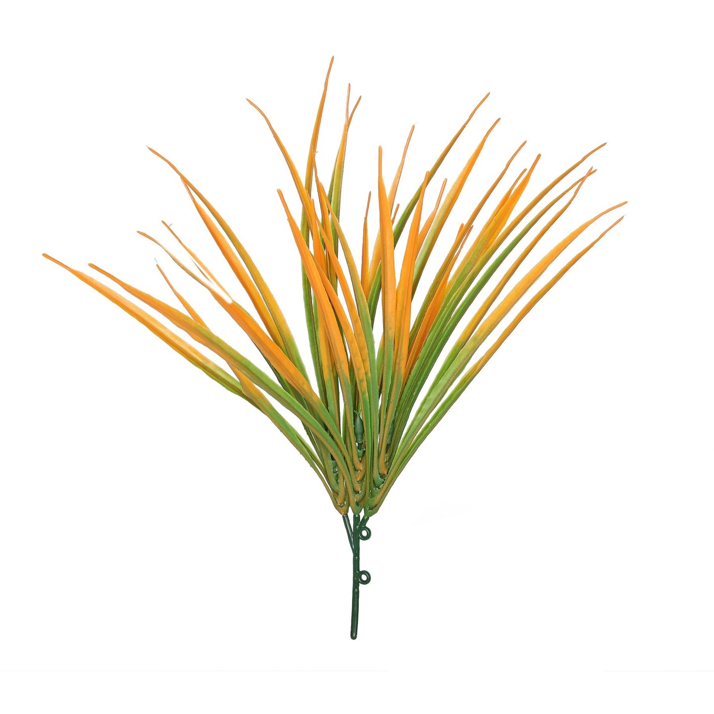 Orange Hardy Grass (30cm)