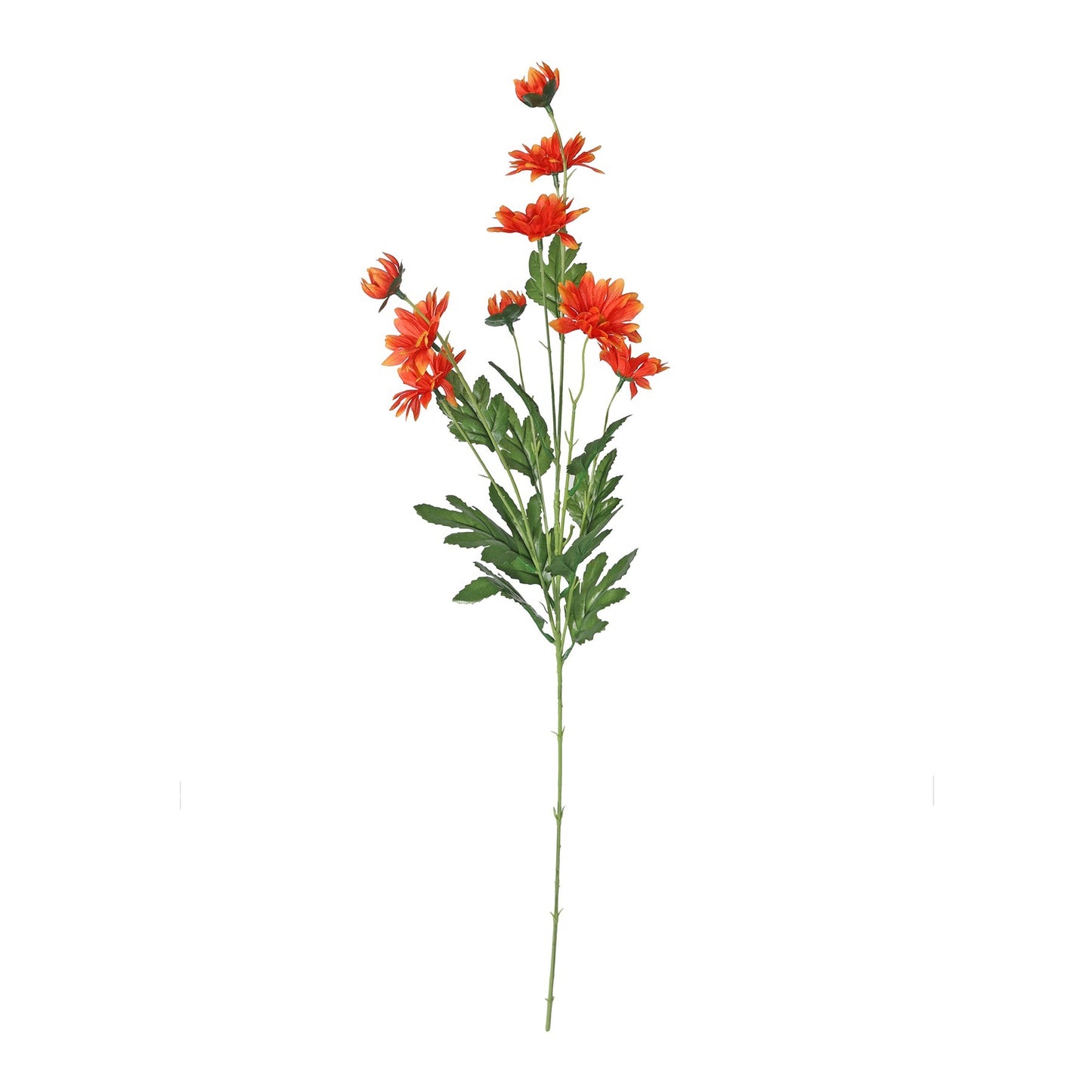 Orange Wild Daisy Spray (84cm)