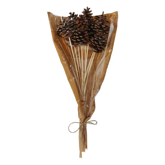 Natural Pine Cone Pick 50cm (Pack of 12)