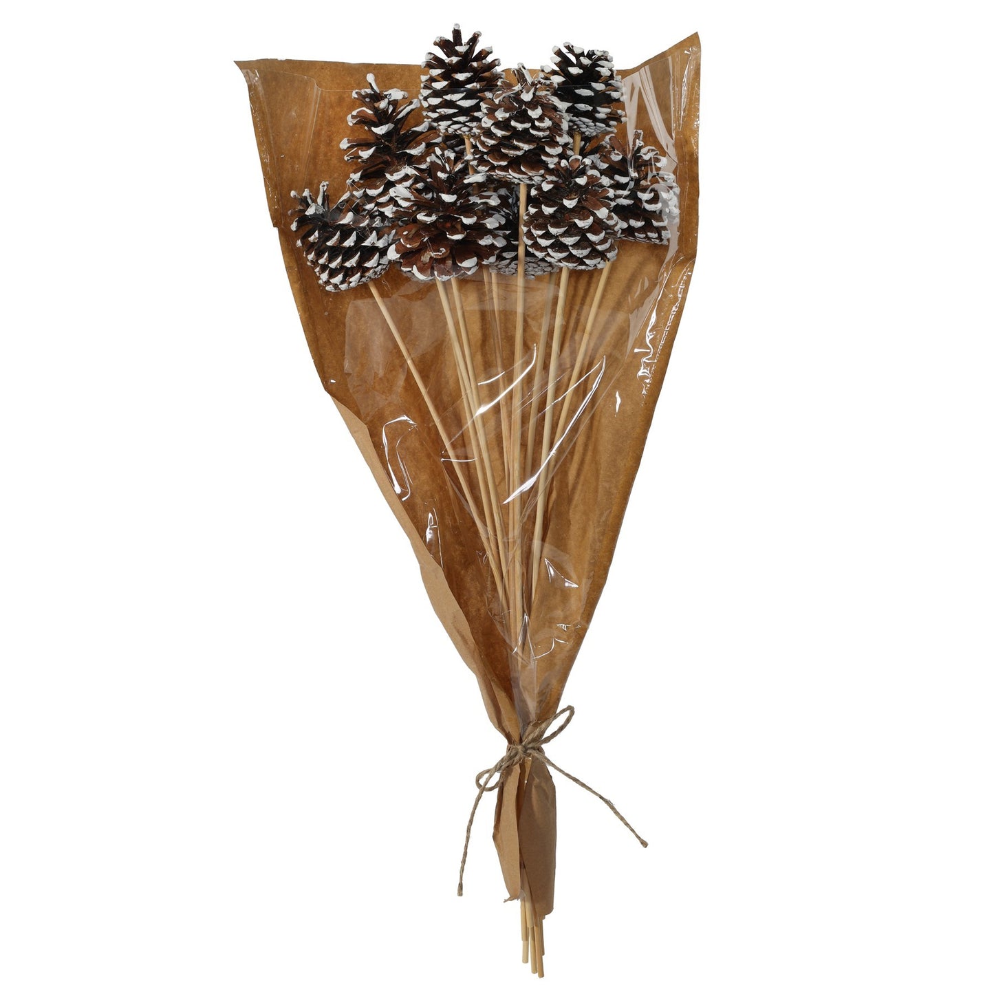 White Tipped Pine Cone Pick 50cm (Pack of 12)