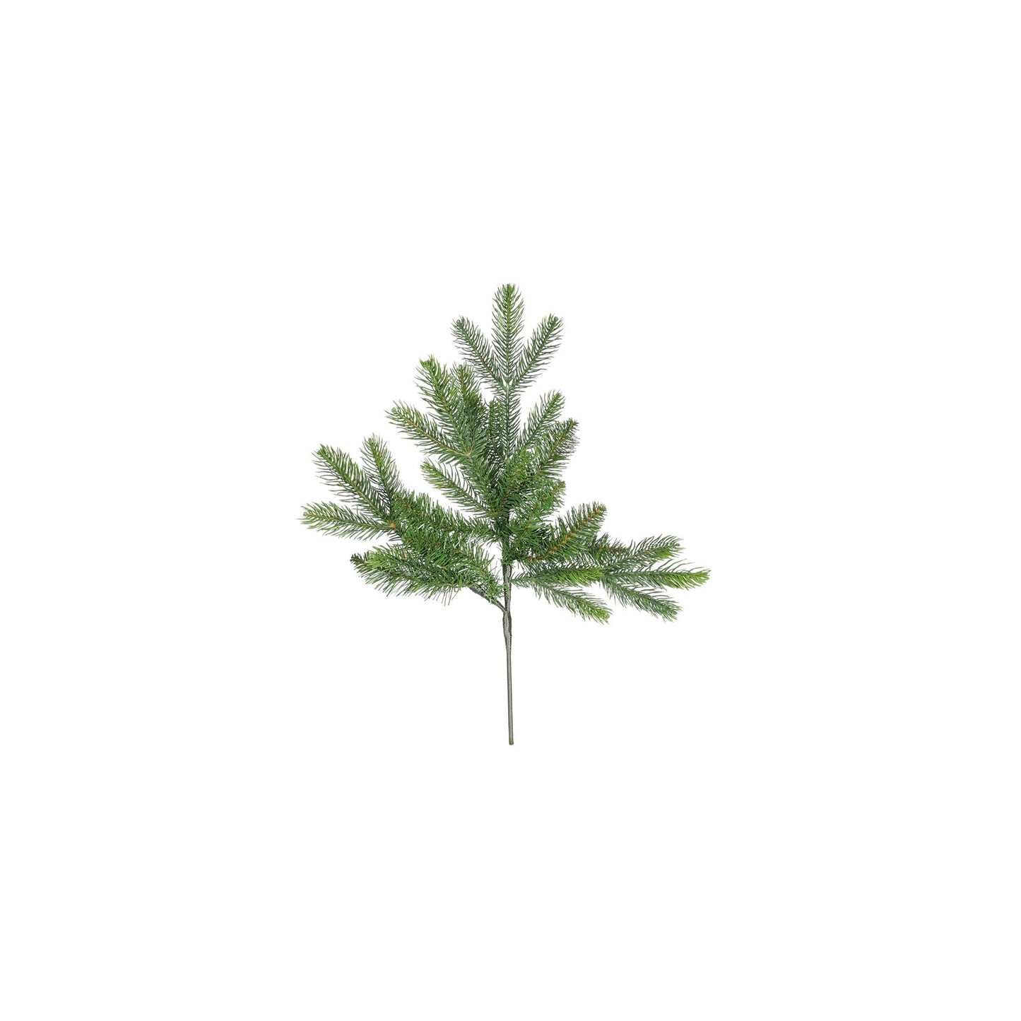 Vermont Spruce Stem (50cm)