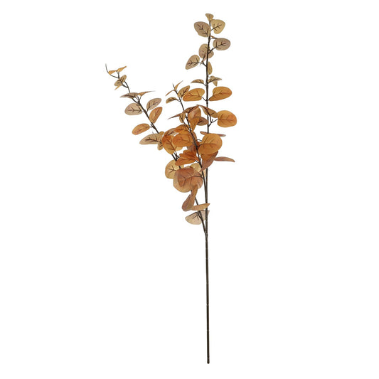 Essential Autumn Eucalyptus Stem - Brown