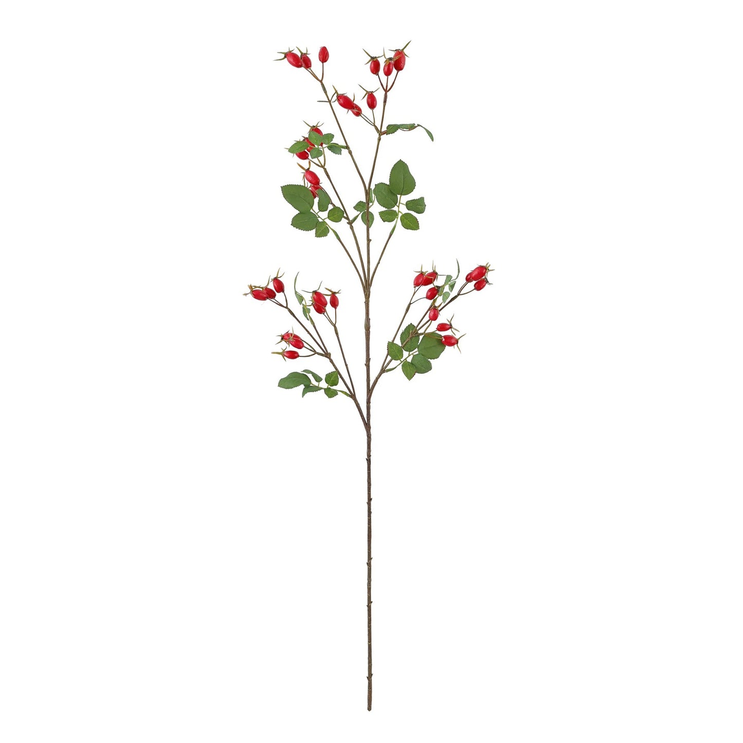 Red Rose Hip Spray (95cm)