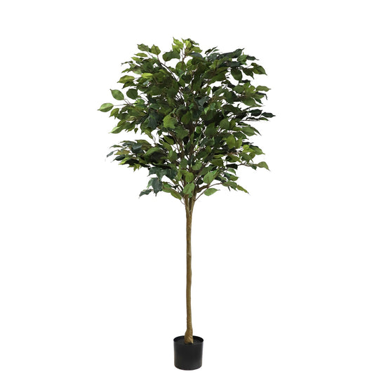 Artificial Ficus Tree (160cm)