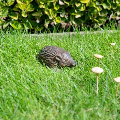 Decorative Hedgehog