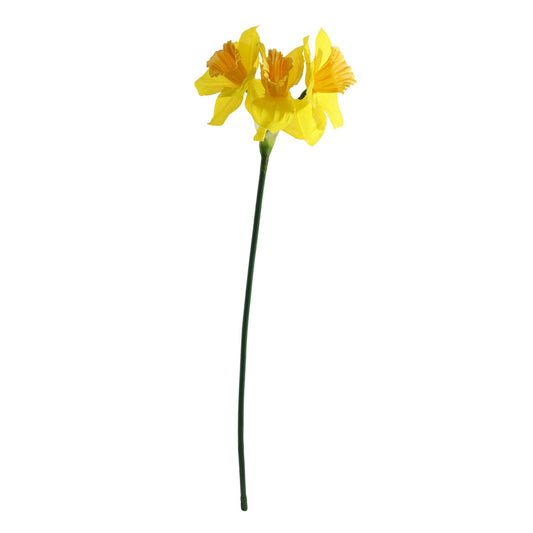 Essential Yellow Mini Daffodil (3 Heads)