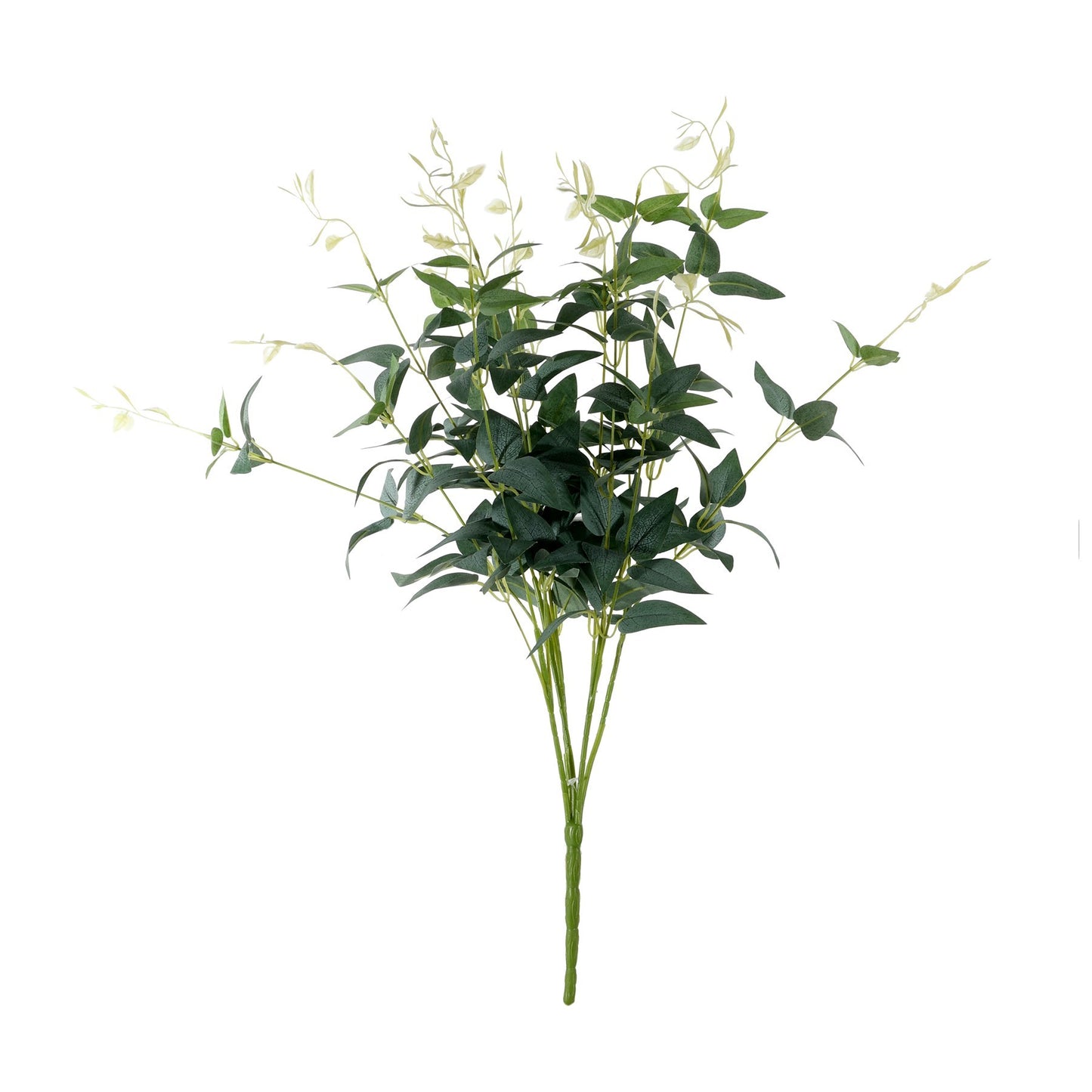 Essential Dark Green Ruscus Bush