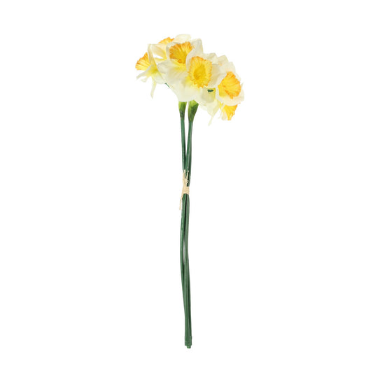 Essential White Mini Daffodil Bunch