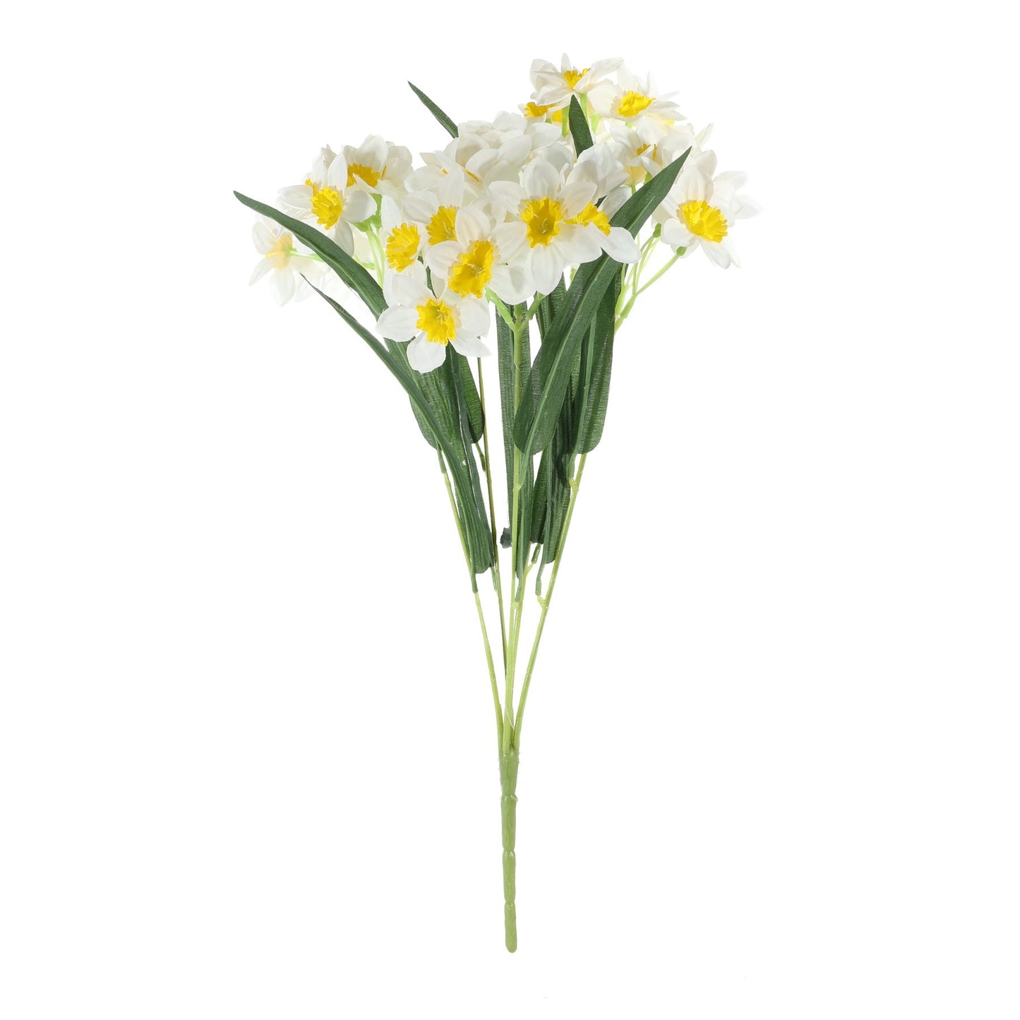 Essential White Narcissus Bush with Leaves