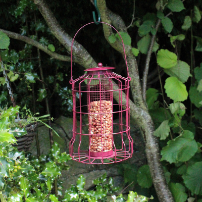 Nut Feeder With Squirrel Guard