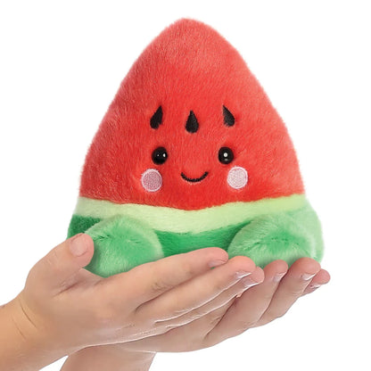 Watermelon Palm Pal