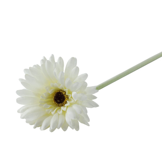 Essential White Gerbera