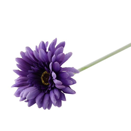 Essential Purple Gerbera