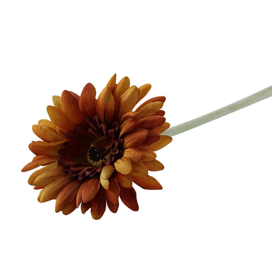 Essential Burnt Gold Gerbera