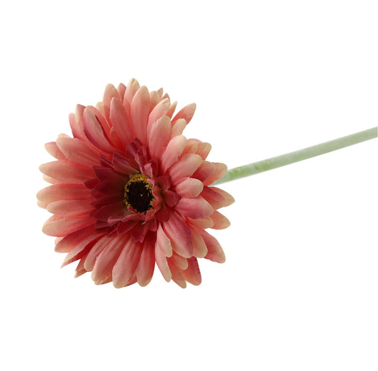 Essential Dusky Pink Gerbera