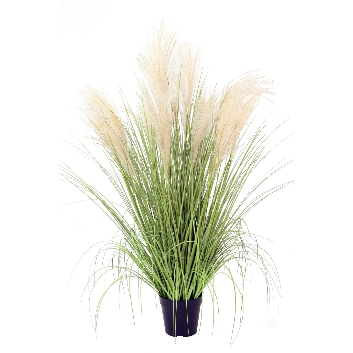 Potted Pampas Bush (99cm)