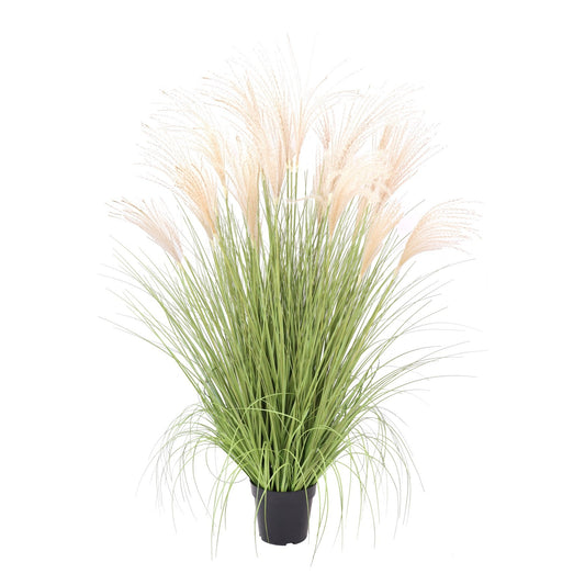 Potted Pampas Bush - 121cm