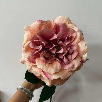 Balmoral Wild Pink Rose (65cm)