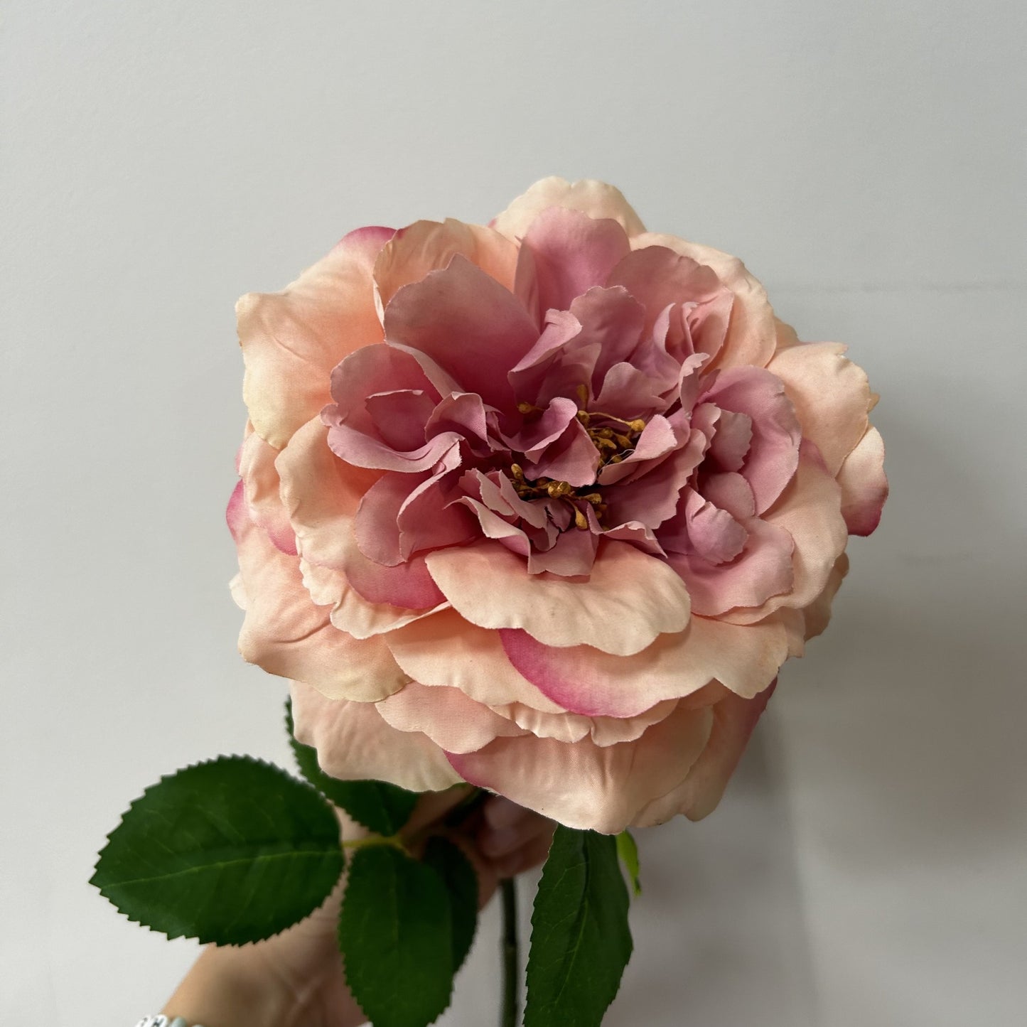 Balmoral Wild Pink Rose (65cm)