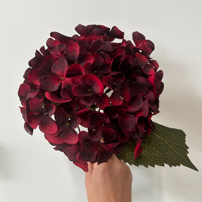 Balmoral Hydrangea Burgundy (45cm)