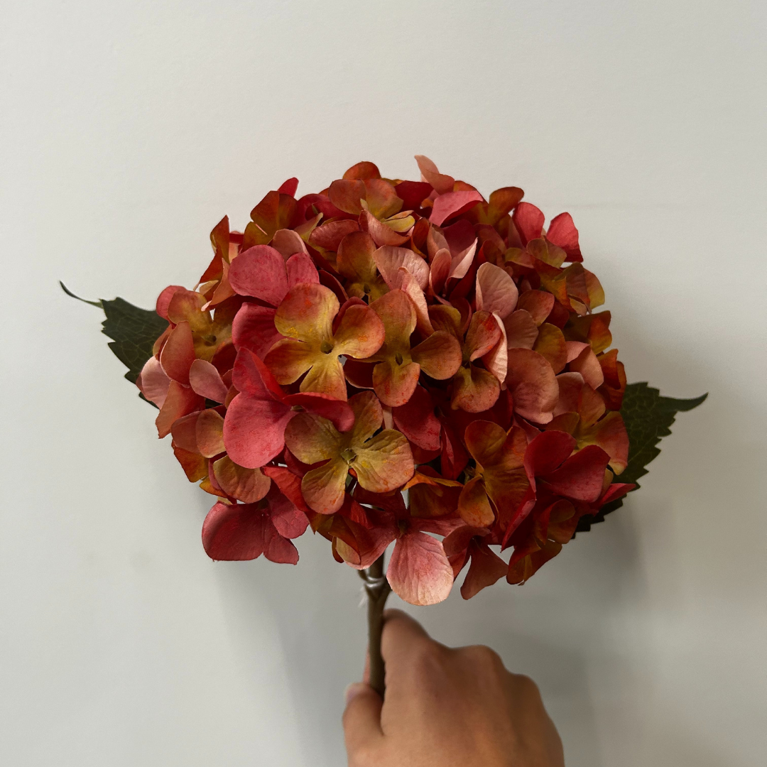 Balmoral Hydrangea Orange (45cm)