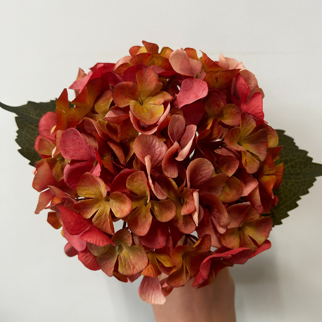 Balmoral Hydrangea Orange (45cm)