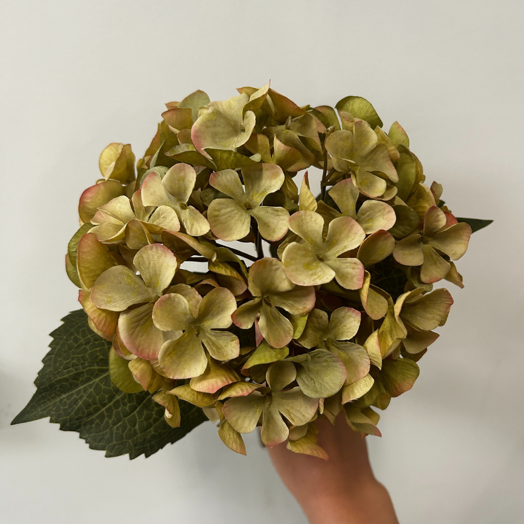 Balmoral Green Hydrangea (45cm)