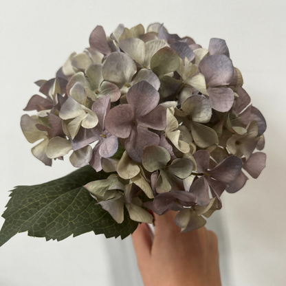 Balmoral Light Blue Hydrangea  (45cm)