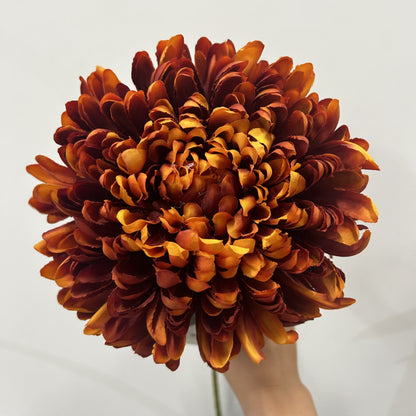 Chrysanthemum Dark Orange