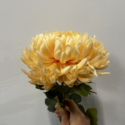 Chrysanthemum Dark Yellow