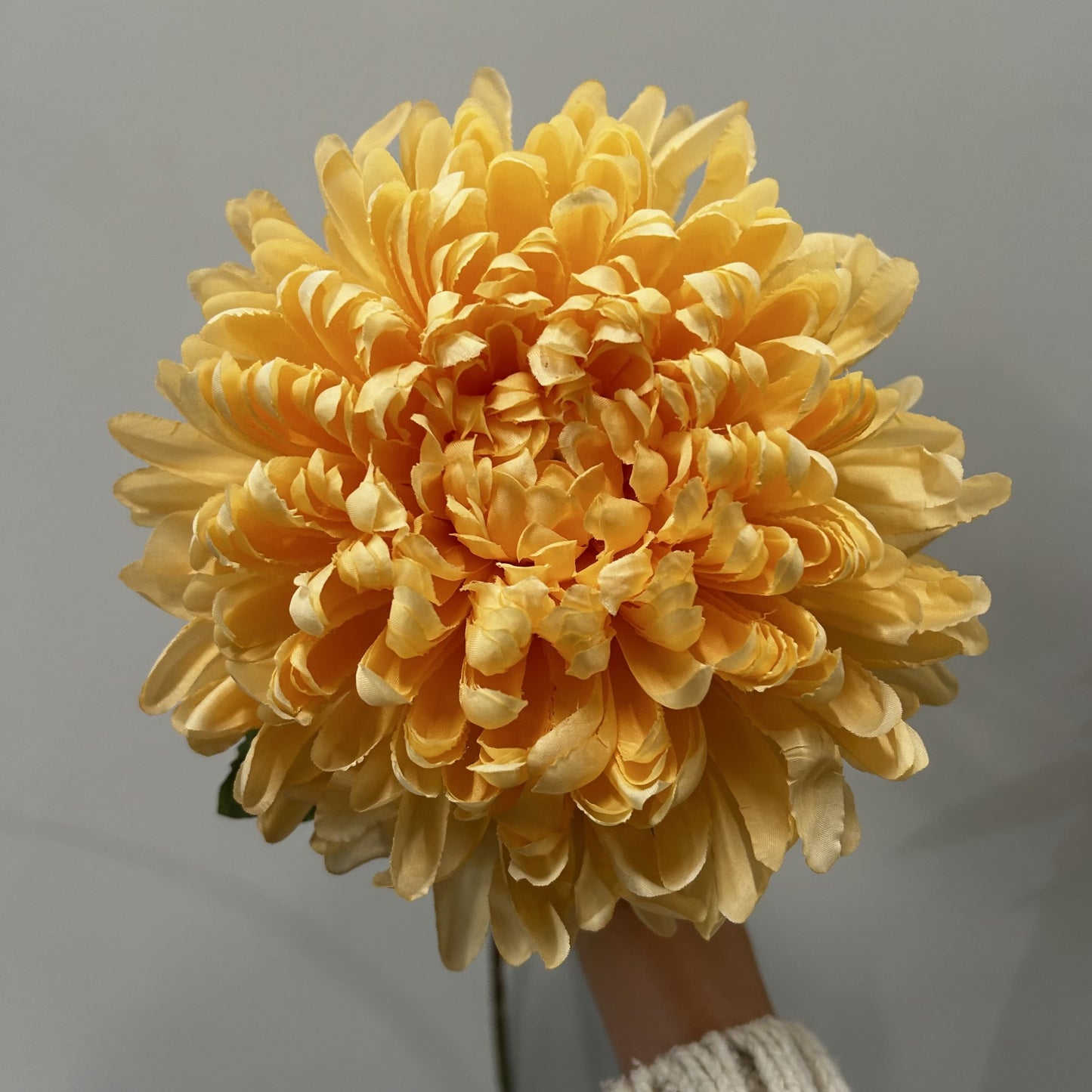 Chrysanthemum Dark Yellow