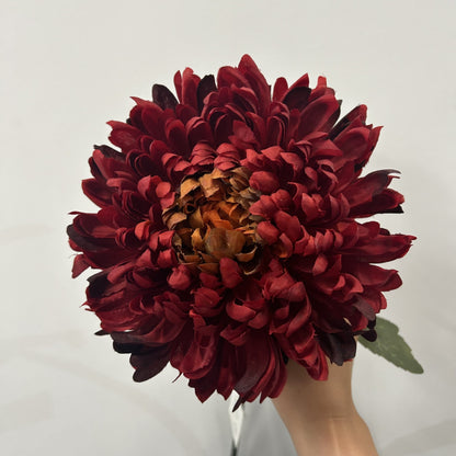 Chrysanthemum Orange