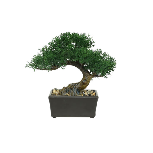 Mini Botanica Potted Bonsai