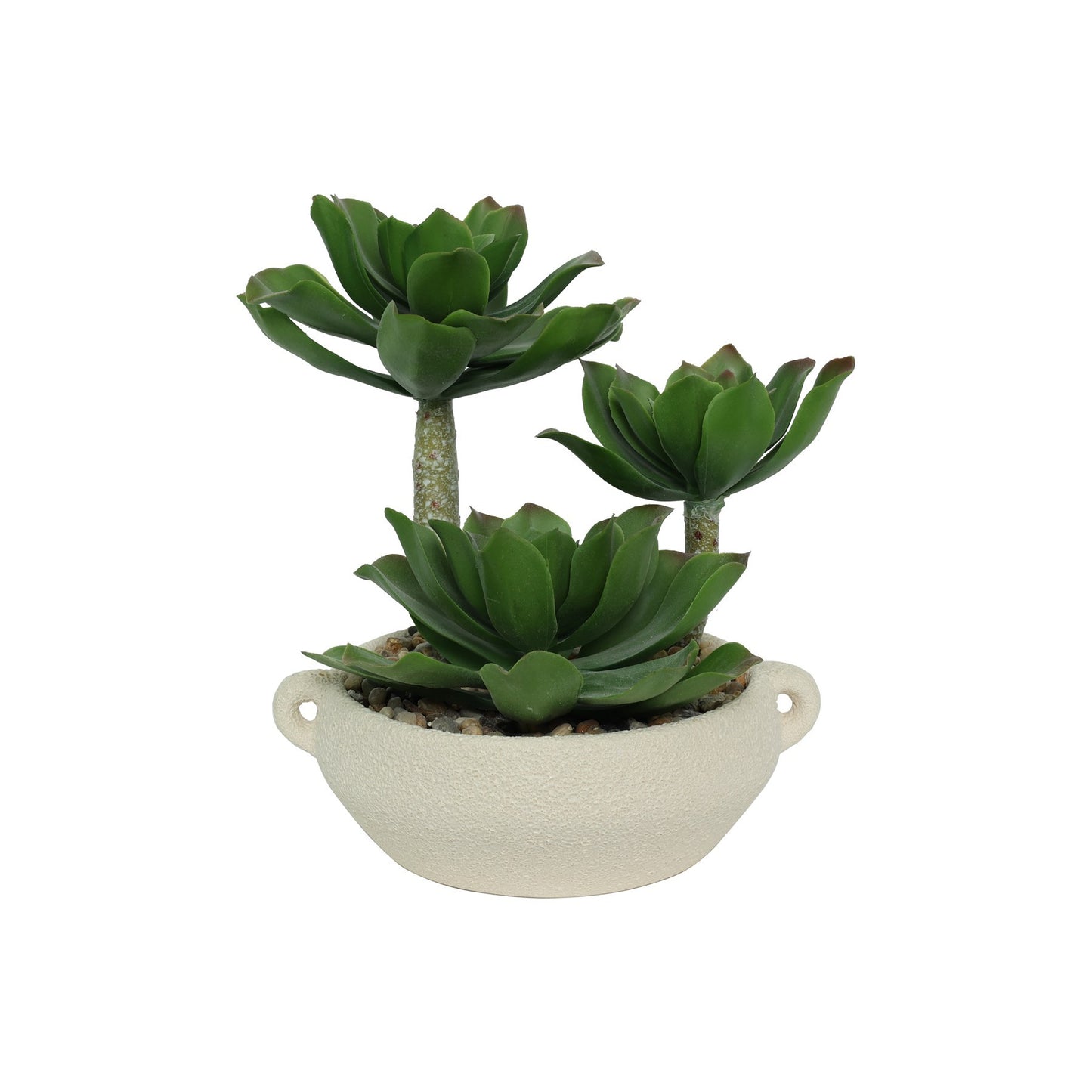 Botanica Succulent Potted (25cm)