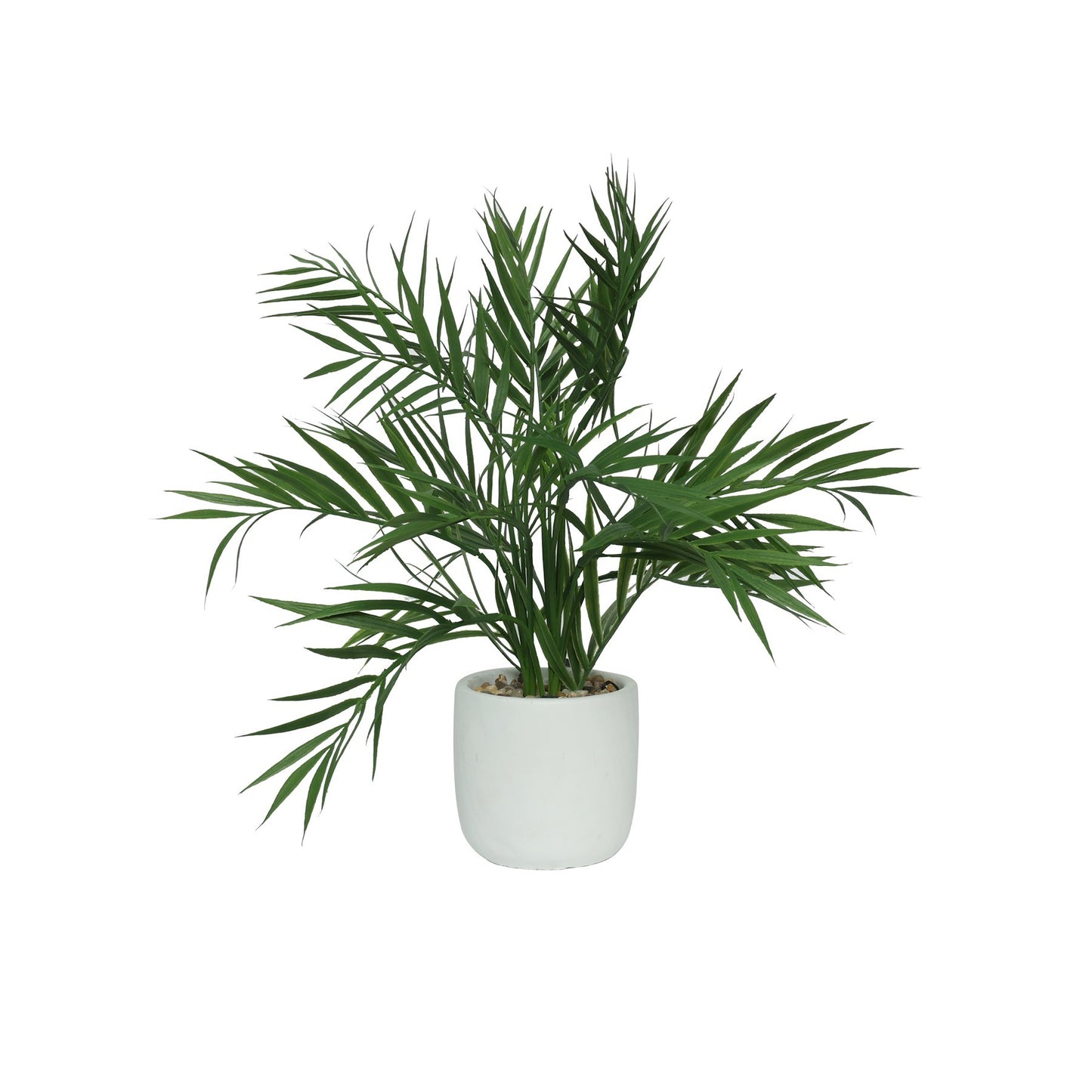 White Botanica Potted Palm (29cm)