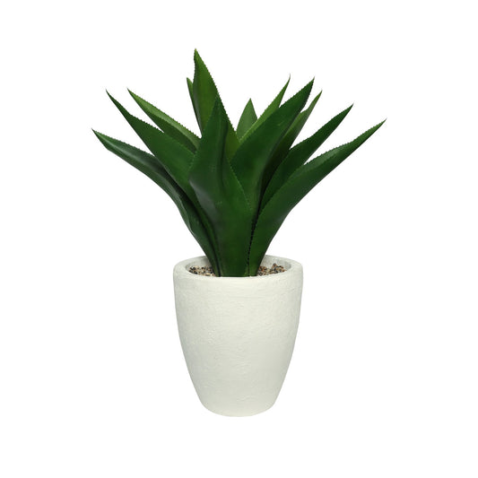 White Botanica Potted Agave (73cm)